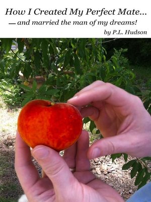 cover image of How I Created My Perfect Mate...and Married the Man of my Dreams!